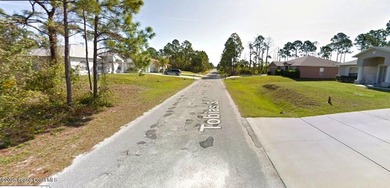 VACANT LAND = Build your New Home in a Desirable Area of Palm - photo 3