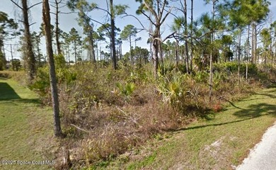 VACANT LAND = Build your New Home in a Desirable Area of Palm - photo 4