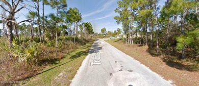 VACANT LAND = Build your New Home in a Desirable Area of Palm - photo 5