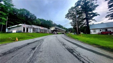 Lake Huntington Commercial For Sale in Cochecton New York