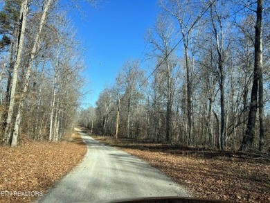 43+ LAKEFRONT Acres... Hard to Find! - photo 2