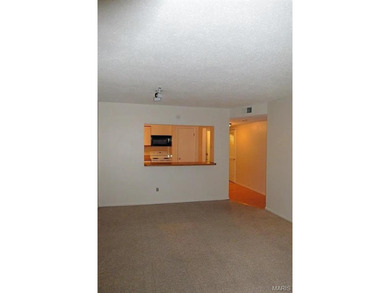 Stunning Top-Floor 1-Bedroom Condo that needs a little TLC