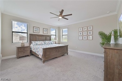 Experience elevated SOUTHWEST FLORIDA LIVING in this IMMACULATE - photo 35