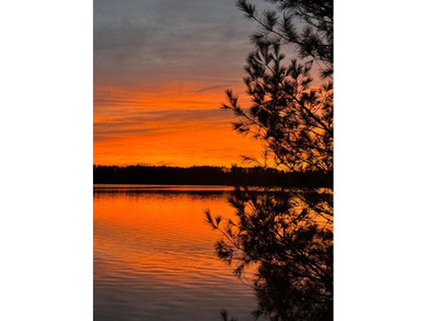 Nestled in the serene beauty of St. Germain, WI, this enchanting - photo 40