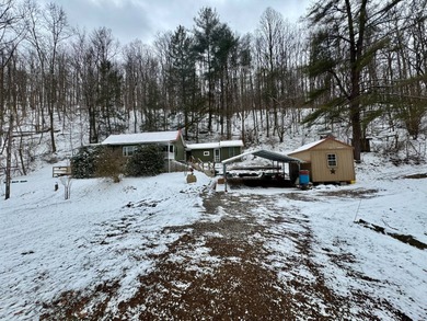 (private lake, pond, creek) Home For Sale in New Milton West Virginia