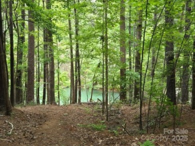 Lake Lot For Sale in Morganton, North Carolina