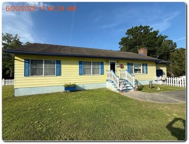 Excitement is the word for today. This Chincoteague beauty has a - photo 5
