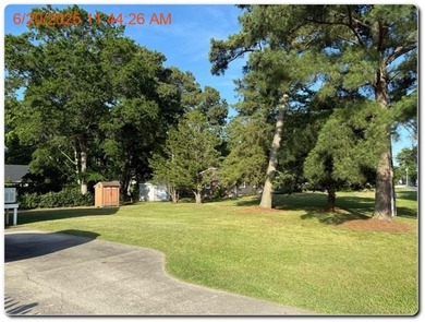 Excitement is the word for today. This Chincoteague beauty has a - photo 8