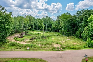 Sardis Lake Acreage For Sale in Oxford Mississippi