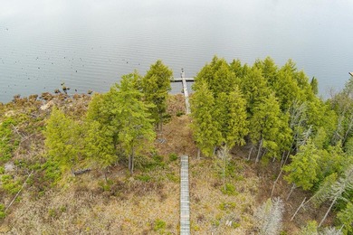CISCO LAKE CHAIN- 395 feet of shared frontage on Big Lake; a 771 - photo 12