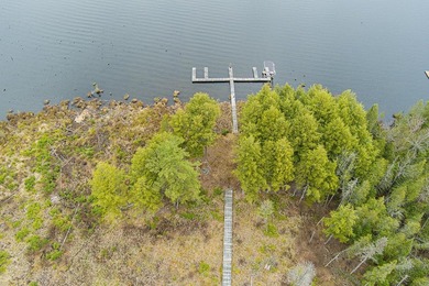 CISCO LAKE CHAIN- 395 feet of shared frontage on Big Lake; a 771 - photo 13