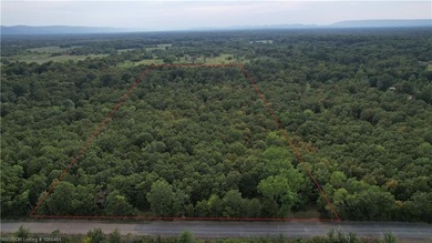 OWNER FINANCING AVAILABLE: Welcome to a remarkable real estate - photo 22