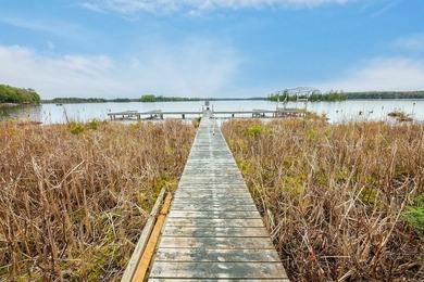 CISCO LAKE CHAIN- 395 feet of shared frontage on Big Lake; a 771 - photo 25