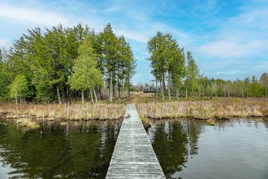 CISCO LAKE CHAIN- 395 feet of shared frontage on Big Lake; a 771 - photo 26