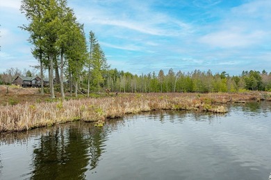 CISCO LAKE CHAIN- 395 feet of shared frontage on Big Lake; a 771 - photo 27
