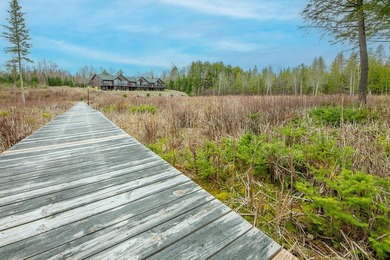 CISCO LAKE CHAIN- 395 feet of shared frontage on Big Lake; a 771 - photo 29