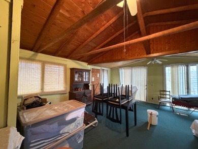 JUST REDUCED! Big BLUE Needs YOU!! - photo 17