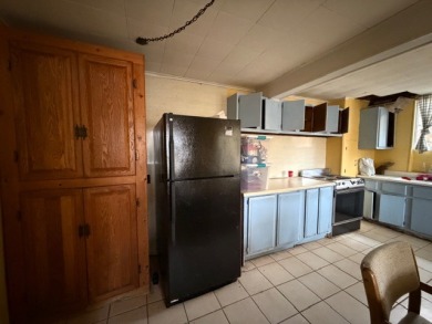 JUST REDUCED! Big BLUE Needs YOU!! - photo 14