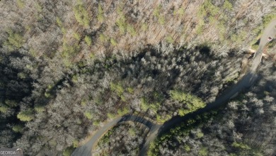 Lake Lot For Sale in Ellijay, Georgia