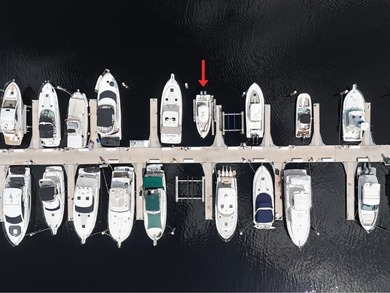 Own your piece of paradise with this premium deep-water boat - photo 4