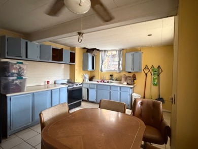 JUST REDUCED! Big BLUE Needs YOU!! - photo 13
