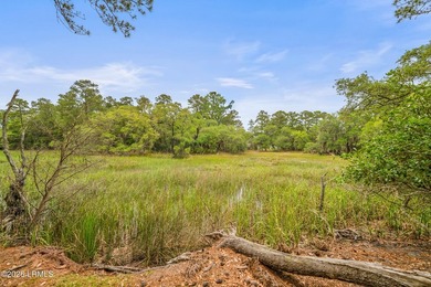 Tucked away on over an acre of wooded privacy with marsh views - photo 30