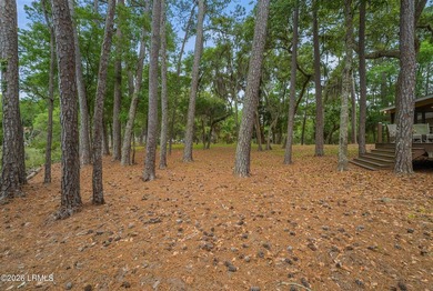 Tucked away on over an acre of wooded privacy with marsh views - photo 32