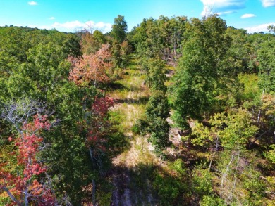 Kentucky Lake Acreage For Sale in Dover Tennessee