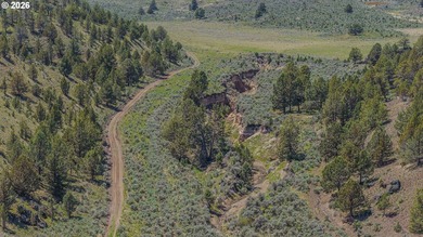 Logan Butte-96 Ranch is a premier Central Oregon cattle and - photo 45