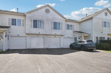 Lake Home For Sale in Aurora, Illinois