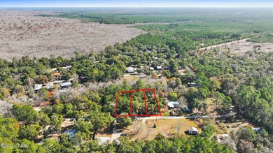 (private lake, pond, creek) Lot For Sale in Vernon Florida