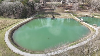 Tucked inside Shirley Subdivision, this 2.99+/- acre parcel - photo 11