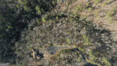 Lake Lot For Sale in Ellijay, Georgia