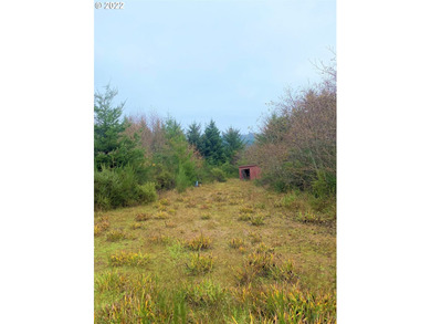 Two prime parcels of land totaling 33.58 acres, offering a - photo 4