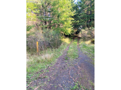 Two prime parcels of land totaling 33.58 acres, offering a - photo 5