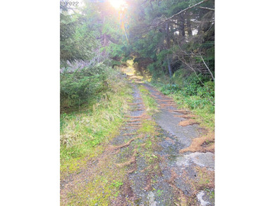 Two prime parcels of land totaling 33.58 acres, offering a - photo 6