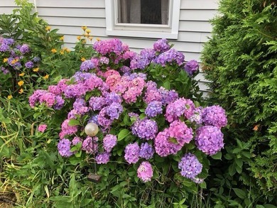 Welcome to this charming 3-bedroom, 2-full-bath Cape Cod nestled - photo 49