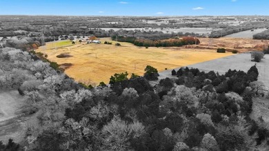 (private lake, pond, coastal) Acreage For Sale in Decatur Texas