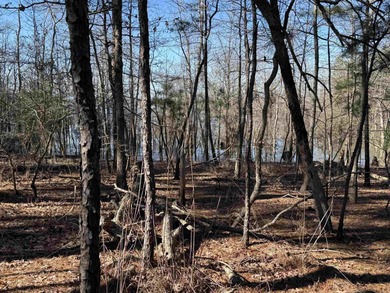 Lake Sam Rayburn  Lot For Sale in Brookeland Texas