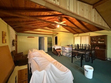 JUST REDUCED! Big BLUE Needs YOU!! - photo 18