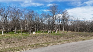 2.36 Acres in Waterfront Club - photo 15