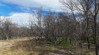 2.36 Acres in Waterfront Club - photo 21
