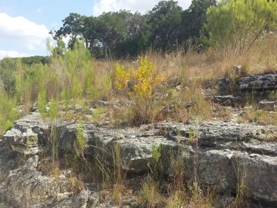 Deep water Medina Lake, waterfront 2.01 acre lot on the main - photo 8