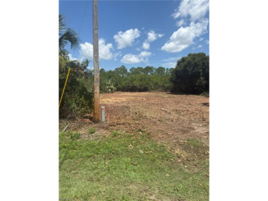 Lehigh Acres Area Lot For Sale in Lehigh Acres Florida