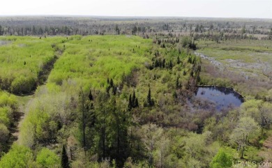 (private lake, pond, creek) Acreage For Sale in Covington Michigan