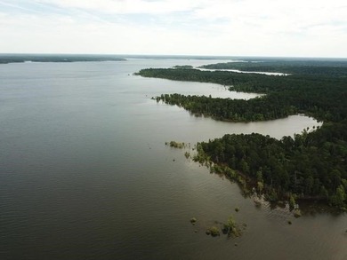 Lake Sam Rayburn  Lot For Sale in Brookeland Texas