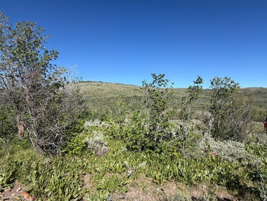 Partially wooded recreational Bear Lake Ranchettes lot with room - photo 13