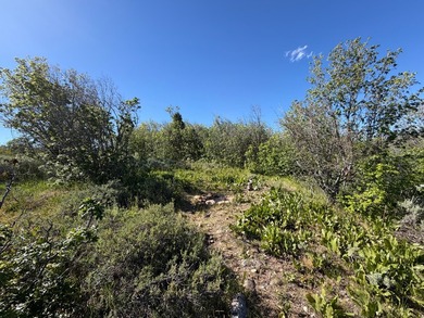 Partially wooded recreational Bear Lake Ranchettes lot with room - photo 14