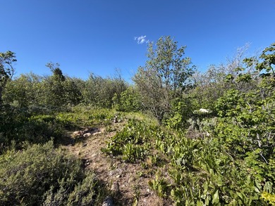 Partially wooded recreational Bear Lake Ranchettes lot with room - photo 15