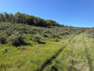 Partially wooded recreational Bear Lake Ranchettes lot with room - photo 17